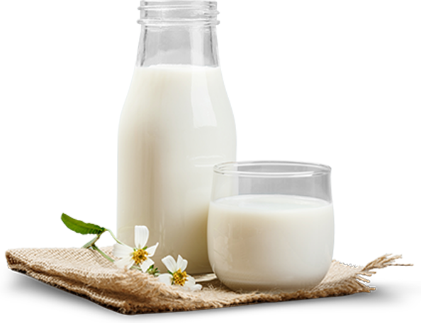 Browse All Dairy Foods
