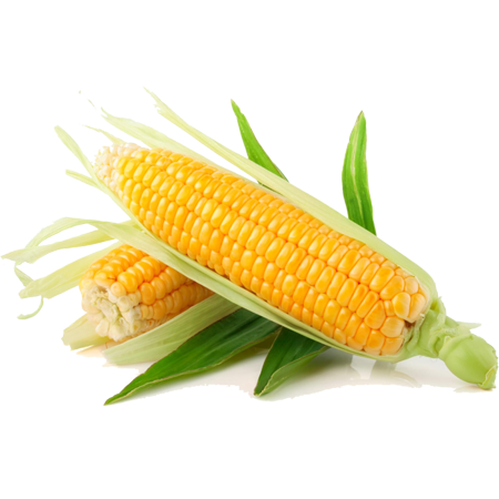 Sweet Corn Calories, Vitamins and Mineral Information
