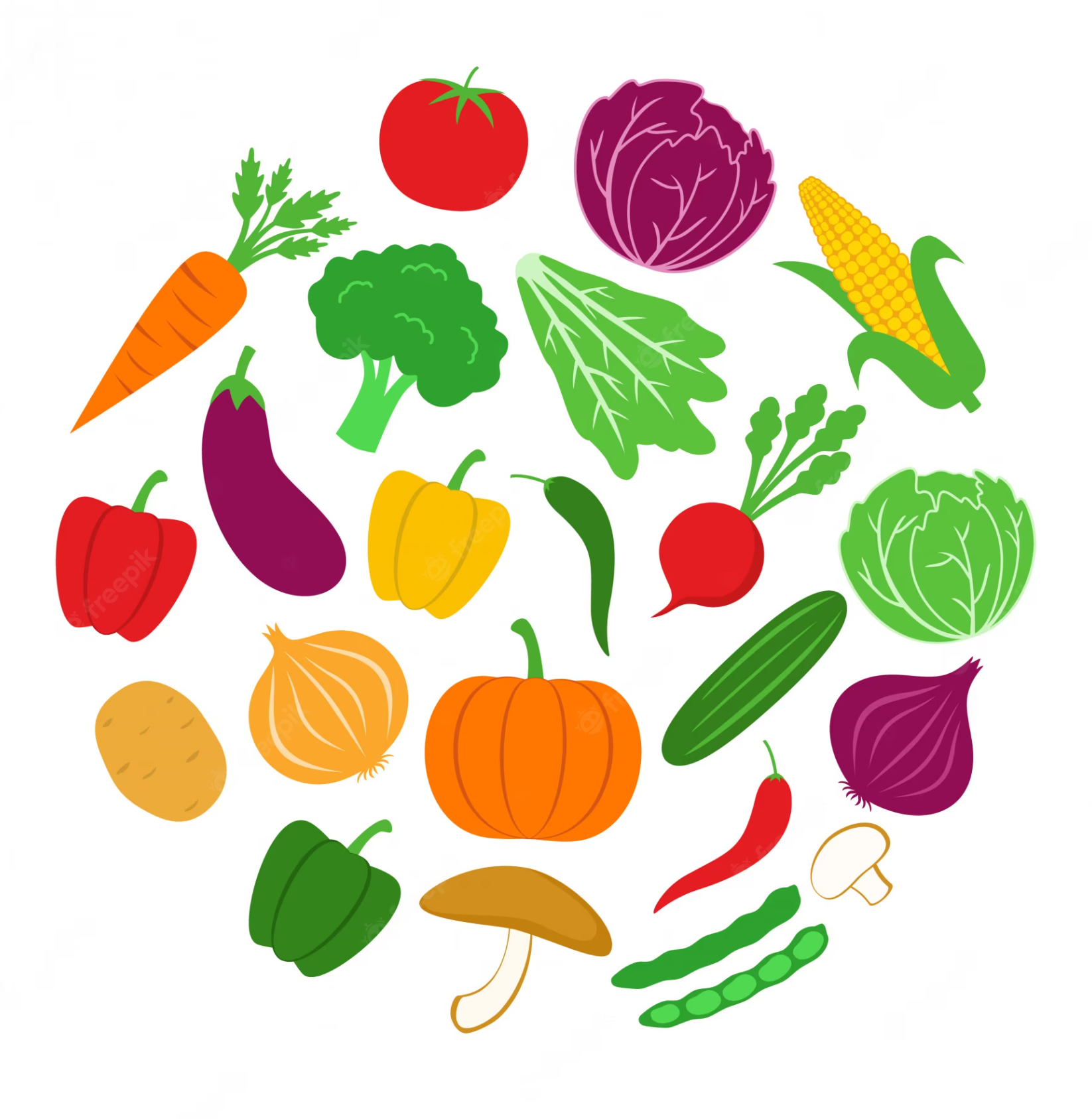 Food Fact Organic Foods